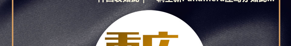 西服宇钿冬季特供奢华面料-天鹅绒